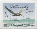 Obrázek k výrobku 18394 - 1978, Antigua, A034, 75. výročí 1. motorového letu bratří Wrightů ∗∗
