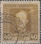 Obrázek k výrobku 23301 - 1917, Bosna a Hercegovina, 133, Výplatní známka: Císař Karel I. ⊙