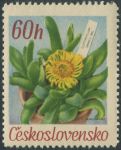 Obrázek k výrobku 29200 - 1967, ČSR II, 1632, Květiny botanický zahrad: Lycaste deppei Lindl ∗∗