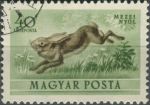Obrázek k výrobku 36134 - 1953, Maďarsko, 1286, Letecká známka: Fauna - Erinaceus europaeus ⊙