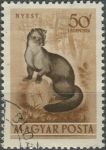 Obrázek k výrobku 36135 - 1953, Maďarsko, 1287, Letecká známka: Fauna - Lepus europaeus ⊙