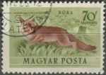 Obrázek k výrobku 36137 - 1953, Maďarsko, 1289, Letecká známka: Fauna - Lutra lutra ⊙