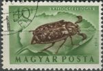 Obrázek k výrobku 36283 - 1954, Maďarsko, 1354, Letecká známka: Hmyz - Bothynoderes punctiventris ⊙