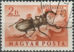 Obrázek k výrobku 36287 - 1954, Maďarsko, 1358, Letecká známka: Hmyz - Rhynchites bacchus ⊙