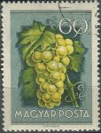 Obrázek k výrobku 36304 - 1954, Maďarsko, 1388, Zemědělská výstava: Lycopersicon esculentum ⊙