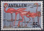 Obrázek k výrobku 41191 - 1983, Nizozemské Antily, 0490, Turismus: Přírodní most, mapa Aruby ✶✶