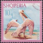 Obrázek k výrobku 43255 - 1967, Albánie, 1135, Ryby: Cyclopterus lumpus ⊙