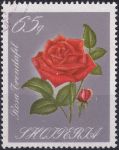 Obrázek k výrobku 43264 - 1967, Albánie, 1156, Ušlechtilé růže ⊙