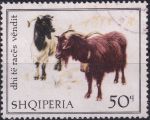 Obrázek k výrobku 43283 - 1968, Albánie, 1260, Domácí kozy ⊙