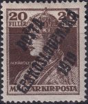 Obrázek k výrobku 44120 - 1919, ČSR I, 0119, PČ 1919: Výplatní známka z roku 1918 (král Karel IV.) ✶