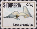 Obrázek k výrobku 45252 - 1973, Albánie, 1622, Mořští ptáci: Larus ridibundus ⊙
