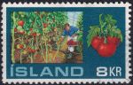 Obrázek k výrobku 48559 - 1972, Island, 0465, Skleníková vyspělost: Rajčata ✶✶ 