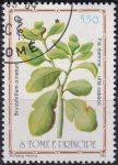 Obrázek k výrobku 49009 - 1983, Svatý Tomáš a Princův ostrov, 0862, Léčivé rostliny: Adenoplus brevitius ⊙