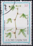 Obrázek k výrobku 49013 - 1983, Svatý Tomáš a Princův ostrov, 0865, Léčivé rostliny: Heliotropium indicum ⊙