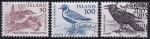 Obrázek k výrobku 49346 - 1980, Island, 0558/0560, Výplatní známky: Domácí fauna ⊙