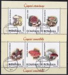 Obrázek k výrobku 52364 - 1994, Rumunsko, A292/293, Jedlé a jedovaté houby ✶✶