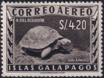 Obrázek k výrobku 54616 - 1957, Ekvádor-Galapágy, 3, Výplatní známka: Zemské obrázky - Ambylrhynchus subcristatus ✶✶