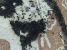 1858, Rakousko (Lombardsko-Benátsko), 10I, Výplatní známka: Císař František Josef I. ⊙