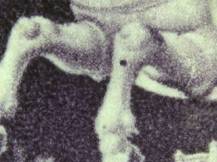 1943, Protektorát, 102, Den poštovní známky ✶✶ ⊟ o H