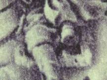 1943, Protektorát, 102DV, Den poštovní známky ✶✶ ⊞