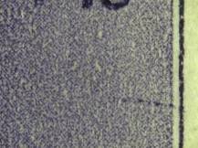 1943, Protektorát, 103DV, Zimní pomoc: Karel IV. ✶✶