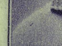 1943, Protektorát, 103DV, Zimní pomoc: Karel IV. ✶✶ ST ⊞ o L