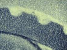 1943, Protektorát, 105DV, Zimní pomoc: Jan Lucemburský ✶✶ ⊞ P D