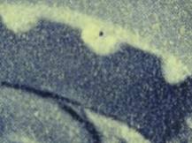 1943, Protektorát, 105DV, Zimní pomoc: Jan Lucemburský ✶✶ ▦ P D