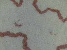 1945, ČSR II, 0353DV, Výplatní známka: Košické vydání - Symbol spojenectví ČSR-SSSR ⊙