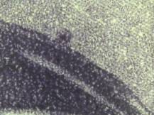 1945, ČSR II, 0381srDV, Výplatní známka: Moskevské vydání ✶✶ o L