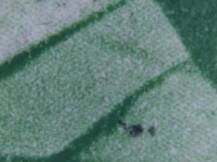 1945, ČSR II, 0384DV, Výplatní známka: Moskevské vydání ⊙