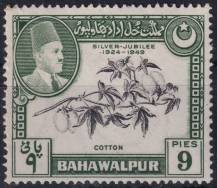 1949, Pákistán-Bahávalpur, 24, 25. výročí panování Sadiqa Mohameda Khana V. Abassiho Bahadura jako emíra Bahávalpuru - Triticum aestivum ✶