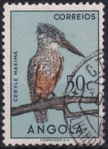 1951, Angola, 0343, Výplatní: domácí druhy ptáků - Ceryle maxima ⊙