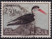 1951, Angola, 0347, Výplatní: domácí druhy ptáků - Rhynchops flavirostris ⊙