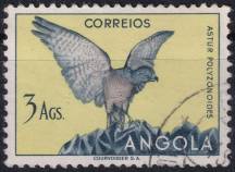 1951, Angola, 0348, Výplatní: domácí druhy ptáků - Accipiter badius polyzonoides ⊙