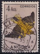 1951, Angola, 0350, Výplatní: domácí druhy ptáků - Oriolus auratus notatus ⊙