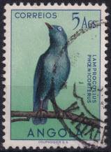 1951, Angola, 0352, Výplatní: domácí druhy ptáků - Lamprotornis nitens ⊙