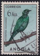 1951, Angola, 0353, Výplatní: domácí druhy ptáků - Lamprotornis acuticaudus ⊙