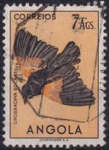 1951, Angola, 0354, Výplatní: domácí druhy ptáků - Euplectes axillaris ⊙