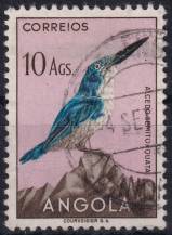 1951, Angola, 0355, Výplatní: domácí druhy ptáků - Alcedo semitorquata ⊙