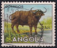 1953, Angola, 0379, Výplatní: zvířata - Syncerus caffer ⊙
