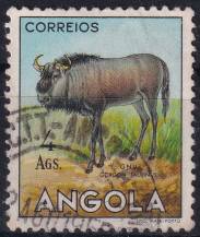 1953, Angola, 0381, Výplatní: zvířata - Connochaetes taurinus ⊙