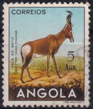 1953, Angola, 0382, Výplatní: zvířata - Alcelaphus buselaphus caama ⊙