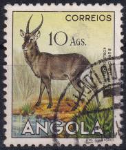 1953, Angola, 0384, Výplatní: zvířata - Kobus defassa ⊙
