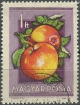 1954, Maďarsko, 1391, Zemědělská výstava: Malus sylvestris var. domestica ⊙