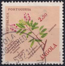 1958, Angola, 0415, 6. kongres tropické medicíny ⊙