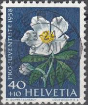 1958, Švýcarsko, 0667, Pro Juventute: Zahradní květiny - Helleborus niger, ⊙