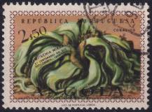 1959, Angola, 0420, 100. výročí objevení welwitchie ⊙