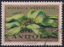 1959, Angola, 0421, 100. výročí objevení welwitchie ⊙