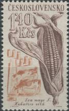 1961, ČSR II, 1202, Zemědělské plodiny: Kukuřice setá ∗∗